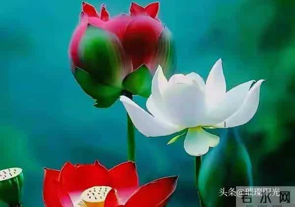 注意了!恭喜你,近期鸿运当头,喜事接连上门!