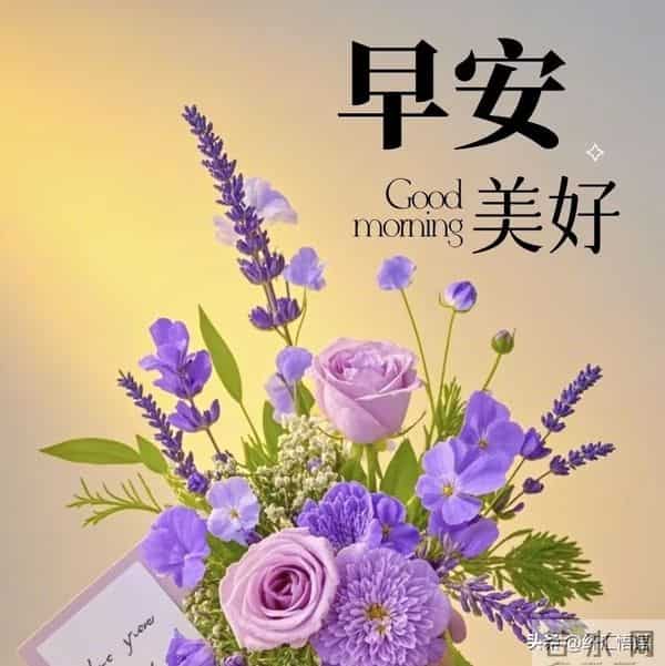 早安!愿这清晨的第一声问候,像一杯温热的牛奶,温暖你的心田