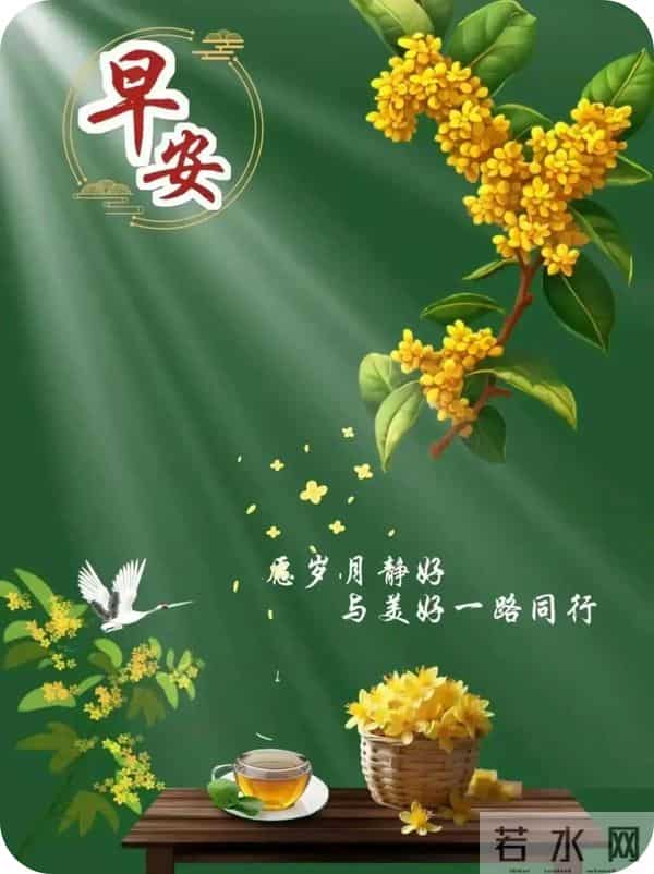 早安,愿今日所得,皆为心之所向