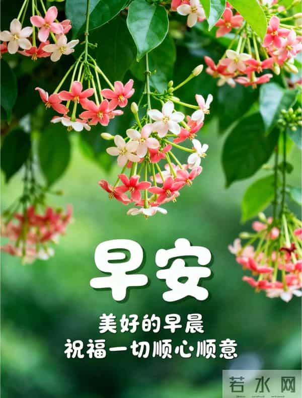 11月24日早上好 早上好图片最新今天 早安问候图片 早安暖心的句子