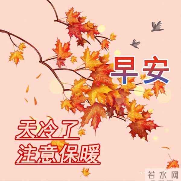 暖心早安祝福,时光轻缓,寒意渐浓,注意保暖,早安吉祥!