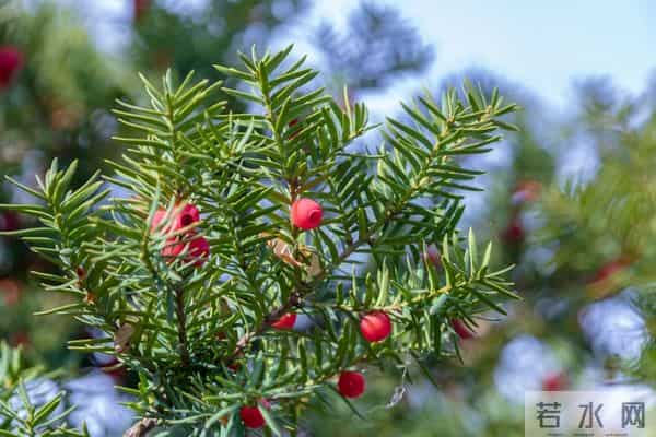 女人一旦给你这些信号,别犹豫,赶紧拥抱她!