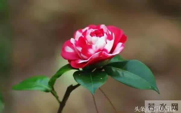 做亲家之前,撕破脸皮也要问清对方3件事,这不叫势力,是真聪明