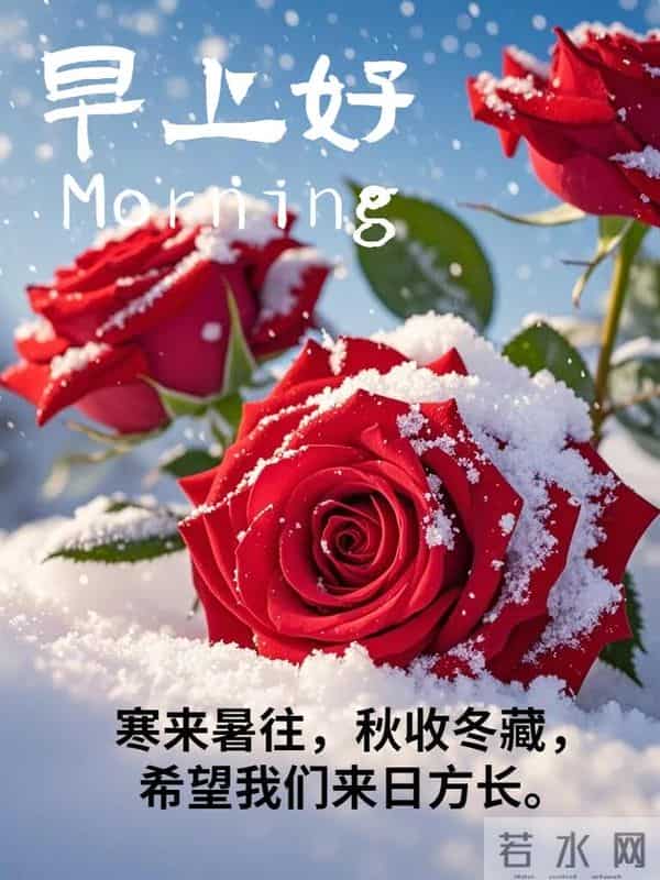 11月24日早上好 早上好问候图片最新今天 早安你好