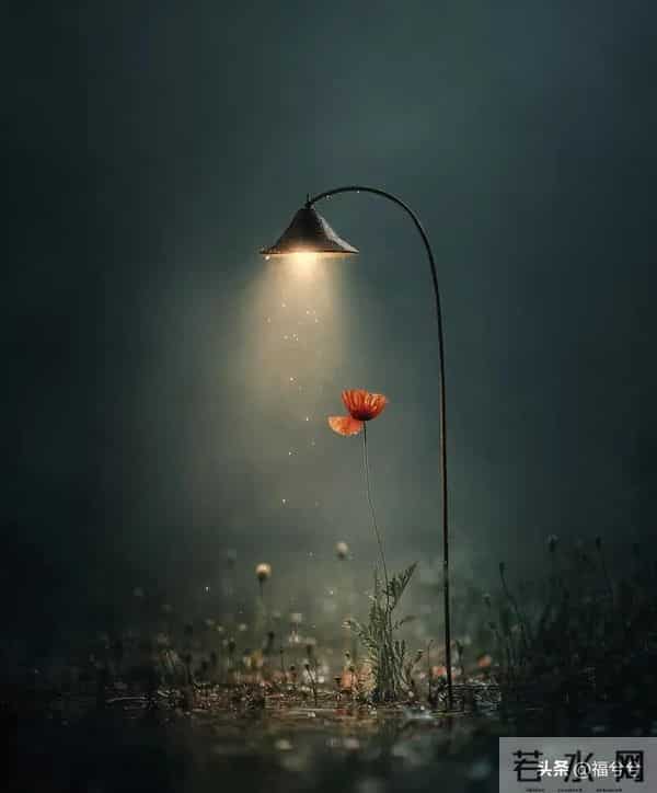 夫妻要离婚的七条征兆,中3条以上,差不多要分开了