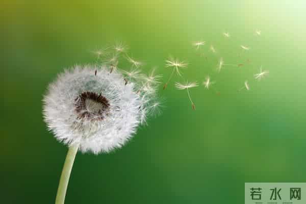 真正毁掉一个家庭的，不是妻子太强势，而是丈夫太“老实”