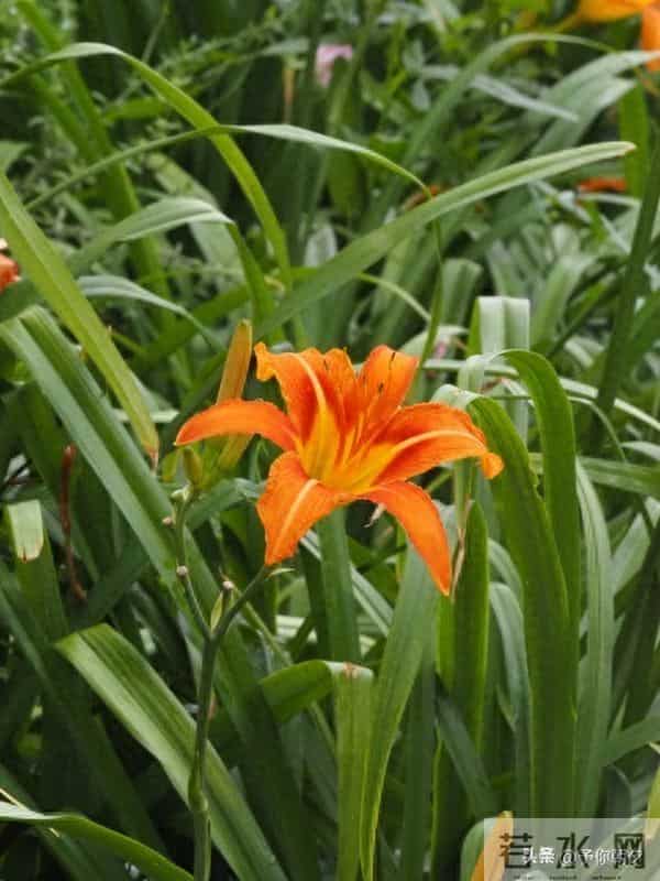 人过半生才悟：沉默不是寡言，是刻在骨子里的清醒