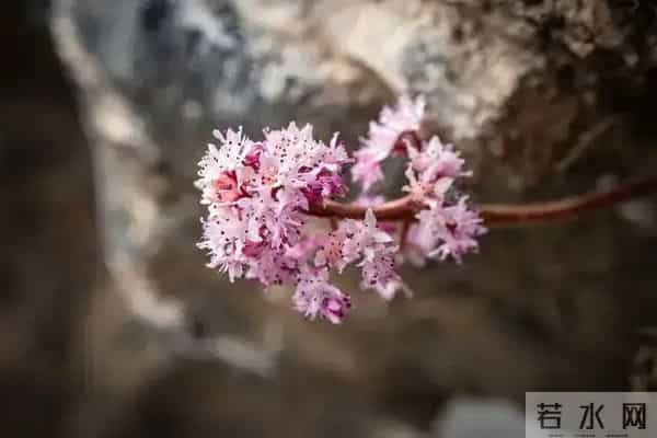 两性关系：为什么女人过了70岁还要找男人？70岁女人的大实话