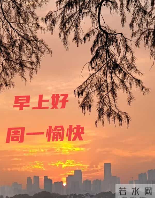 2025年11月24日早上好 早上好温馨问候祝福语 早安精美图片 周一愉快