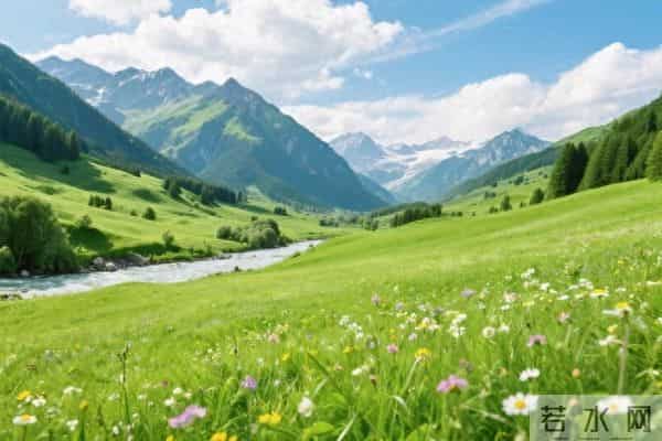 余生,学会接纳所有,放过自己:健康长寿,才是人生顶配的赢