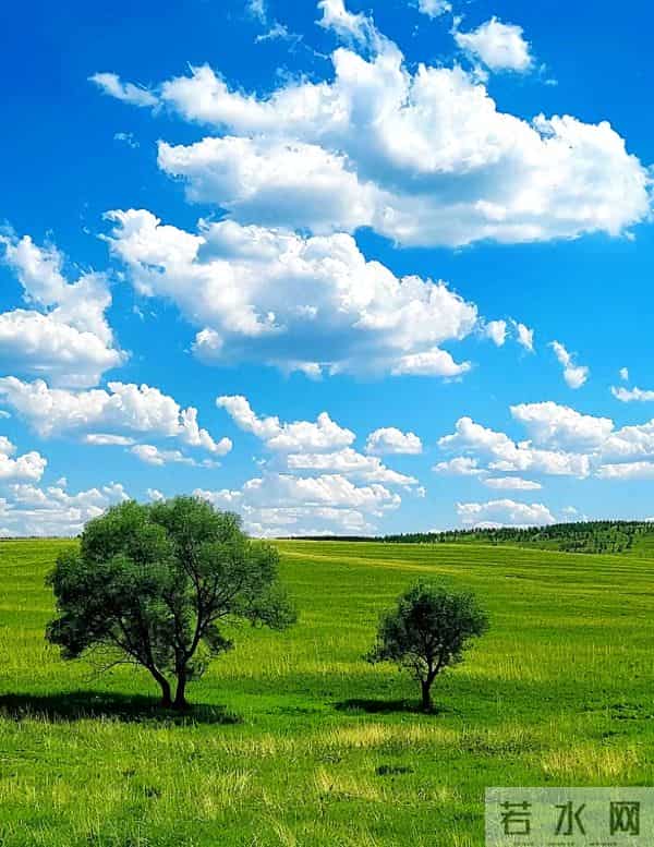 别让你的情绪，成为最贵的消费