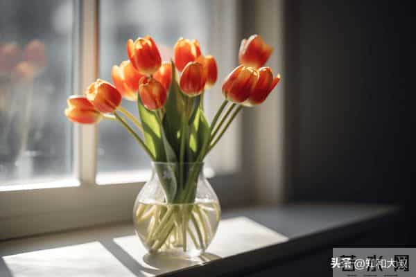 一个女人，最通透的活法：4个字