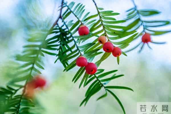 女人一旦给你这些信号,别犹豫,赶紧拥抱她!