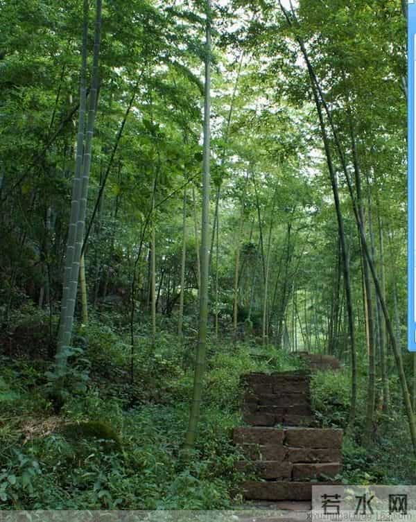 退休后才发现,3类人逢请必到,3类人永远不参加