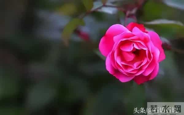 做亲家之前,撕破脸皮也要问清对方3件事,这不叫势力,是真聪明