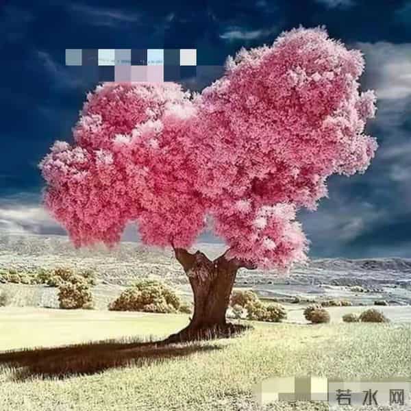 60岁还在焦虑胡思乱想？读懂这3点，后半辈子活得通透又舒心