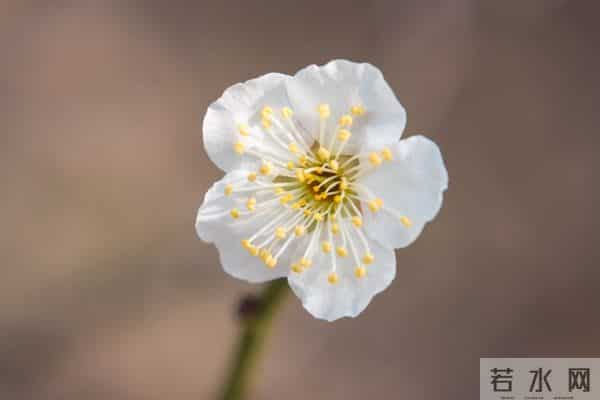 女人想要“越界”，会这样对你