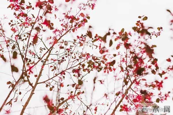 两性关系，惊人发现，60岁与异性靠近，根本不是桃花运，而是这