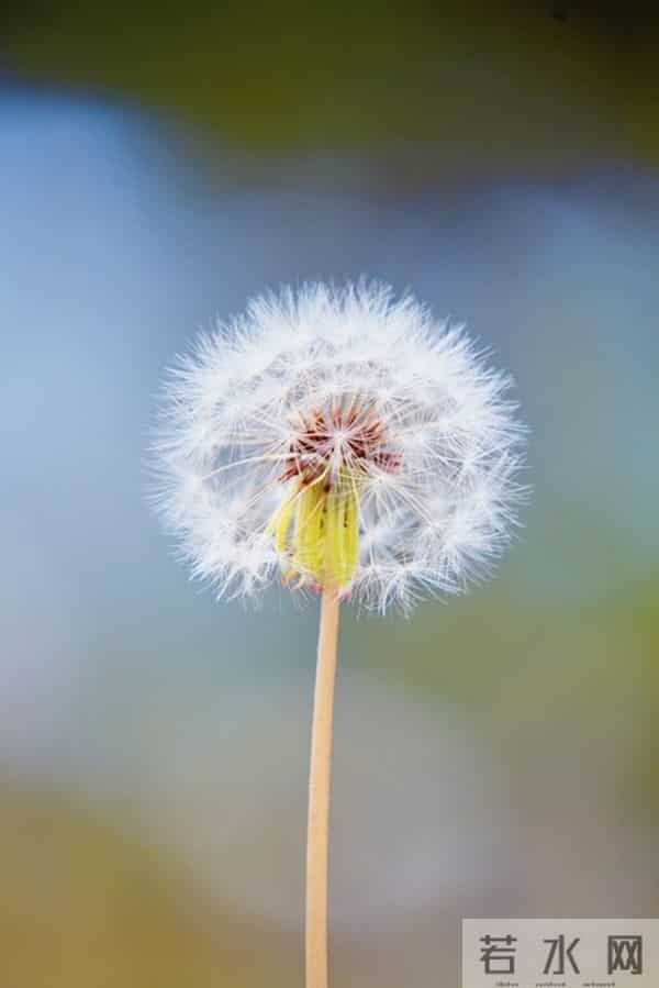 真正毁掉一个家庭的,不是妻子太强势,而是丈夫太“老实”