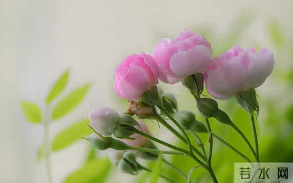 "聪明人，从不社交"，真正通透的人，早已退出了人脉的竞技场。