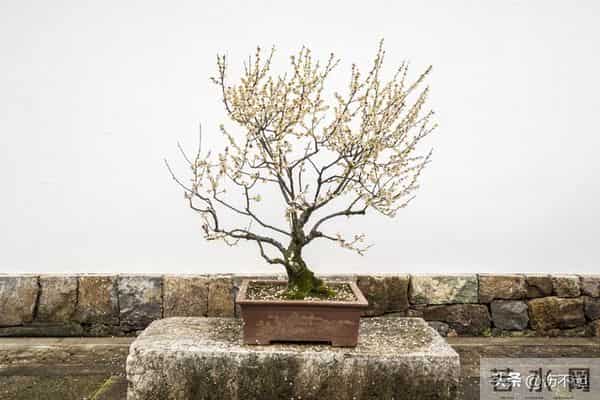 黄泉路上无老少,如果你60岁还活着,你已经够幸运了!