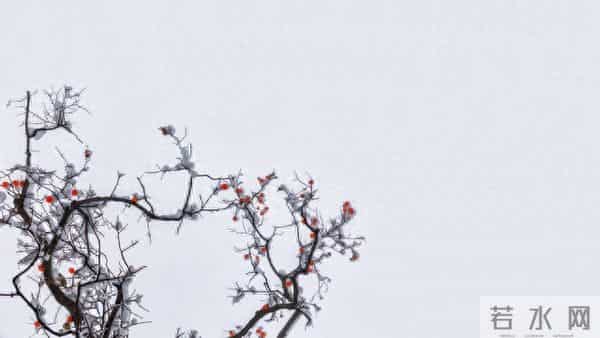 男人若是爱上了一个中年女人，他的反应，其实会是这样的，很真实