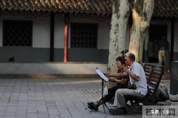 今日爆款文章:《岁月轻逝,学会与时光温柔相拥》