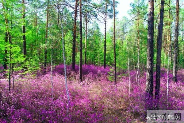 两性关系:55-65岁这十年,惜命的方式,不是锻炼,是做好这6点