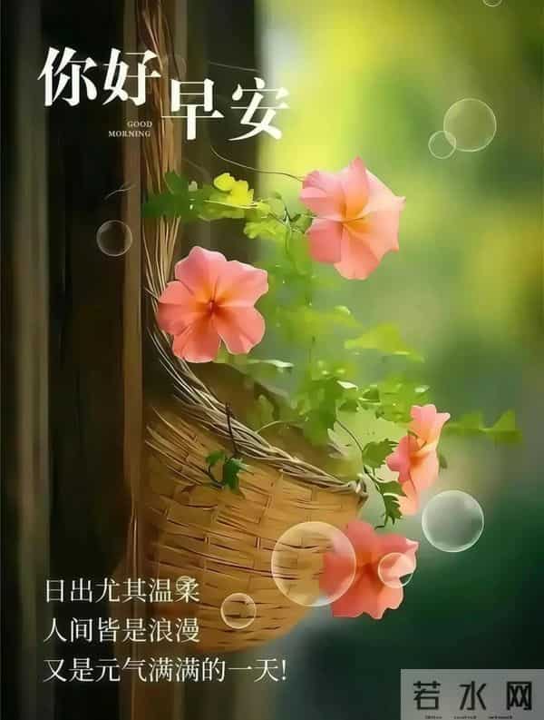 11月24日早上好 早上好图片最新今天 早安问候图片 早安暖心的句子