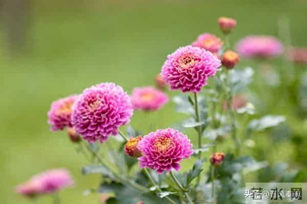 最舒服的两性关系：不是夫妻，却胜似夫妻