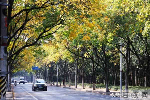 如果您欠几十万就崩溃?听完这段话您会马上清醒!