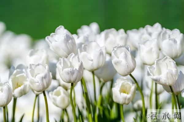 最舒服的两性关系：不是夫妻，却胜似夫妻