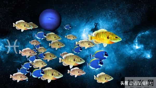 明日运势 - 11月24日双鱼座