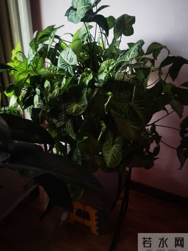 时间浅入冬，岁月深叠念。