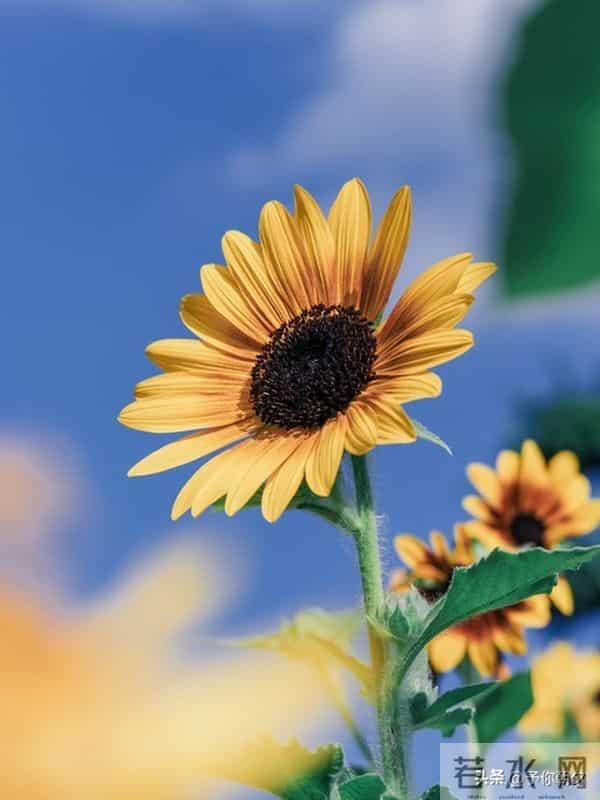 人过半生才悟：沉默不是寡言，是刻在骨子里的清醒