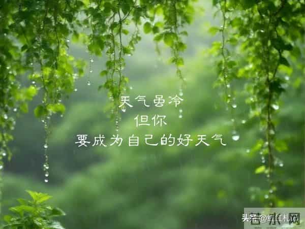 繁华满地，流年如诗不如你。