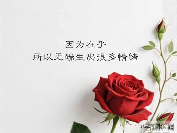 繁华满地，流年如诗不如你。