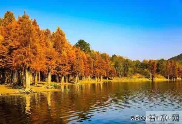 两性关系：60多岁阿姨们坦言，女人找老伴，最需的3个点