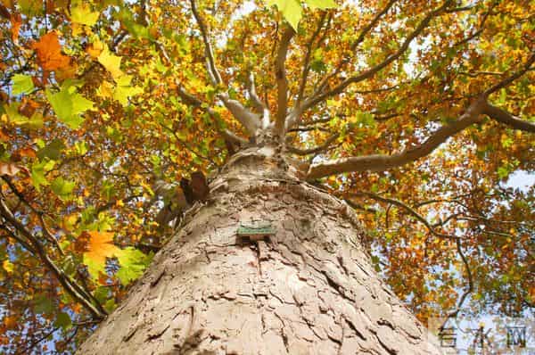 让女人死心塌地的关键：掌握“二八定律”