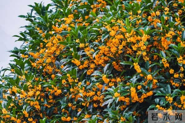 女人被吃定后，明显的变化：主动