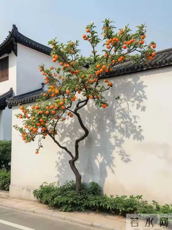 老了才发现，子女越有出息，父母的晚年往往越孤单！你认同吗？