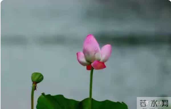 注意了!恭喜你,近期鸿运当头,喜事接连上门!