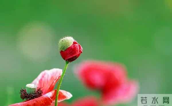 不要欺负善良人,善良人不会报复,但老天会替善良人清算报复