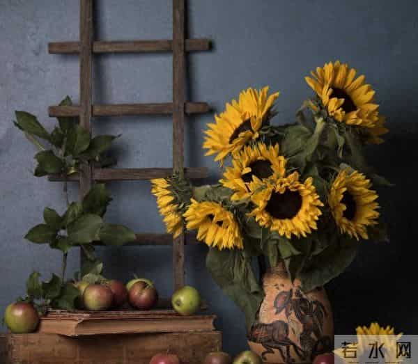 心理测试:你最喜欢哪个花瓶里的花,测你哪方面会比别人幸运?