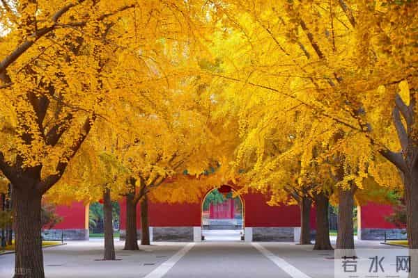 性和命和寿的关联:命好长寿的男人,身上往往有这几种特征