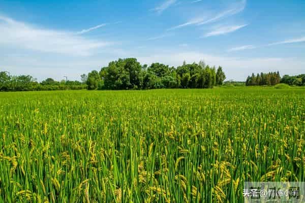 世界上最没用的是两件事：第一件是生气，第二件是这个