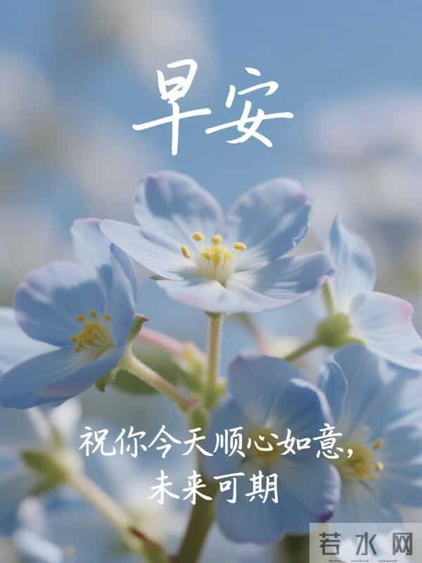 25句周一暖心早安祝福，晨光沐心，情谊如暖，愿你事事圆满乐无忧