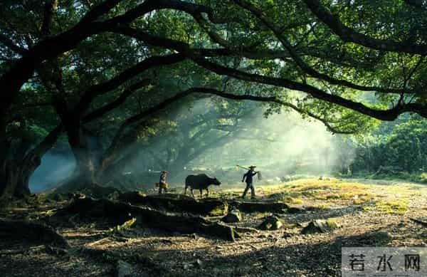 退休后才懂：所有关系，终会败给“不再需要”