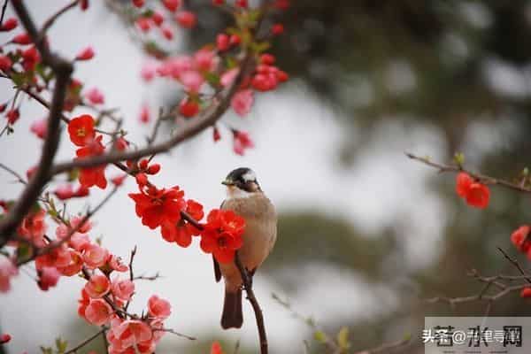 请接受这运程，你的孩子越来越顺