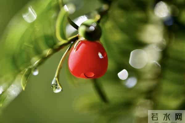 女人一旦给你这些信号,别犹豫,赶紧拥抱她!